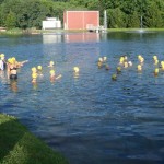 Chelsea Gerhart somewhere in among the yellow ducklings